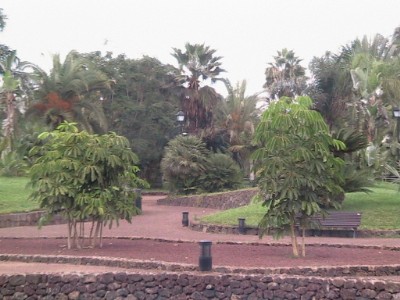 im nahe gelegenen Jogger-Paradies Taoro-Park