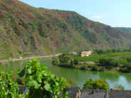 Calmont