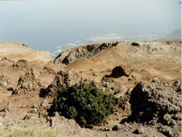 Roque El Toscon