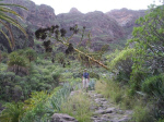 Barranco de Guarimiar