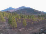 Blick auf Pico Viejo und Teide